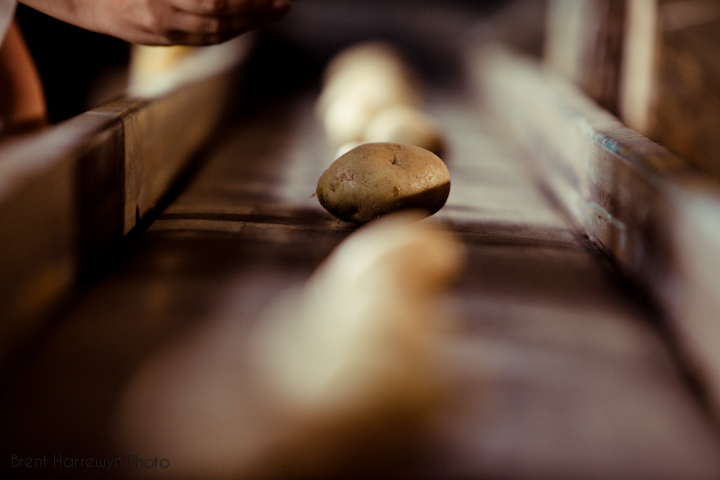 bhphoto_tuberville_web-189