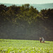 bhphoto_tuberville_web-121 thumbnail