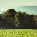 bhphoto_tuberville_web-124 thumbnail