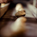 bhphoto_tuberville_web-189 thumbnail
